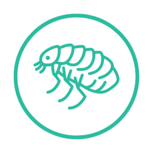Antiparasitarios Externos