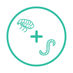 Antiparasitario Interno y Externo