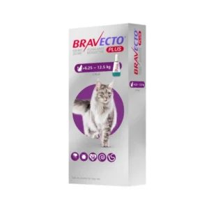 Bravecto Plus Gato – Pipeta para gatos entre 6,25 y 12,5 kg